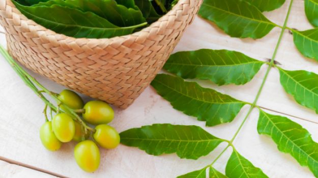 10 outstanding advantages and uses of Neem Oil: A natural Elixir That ...